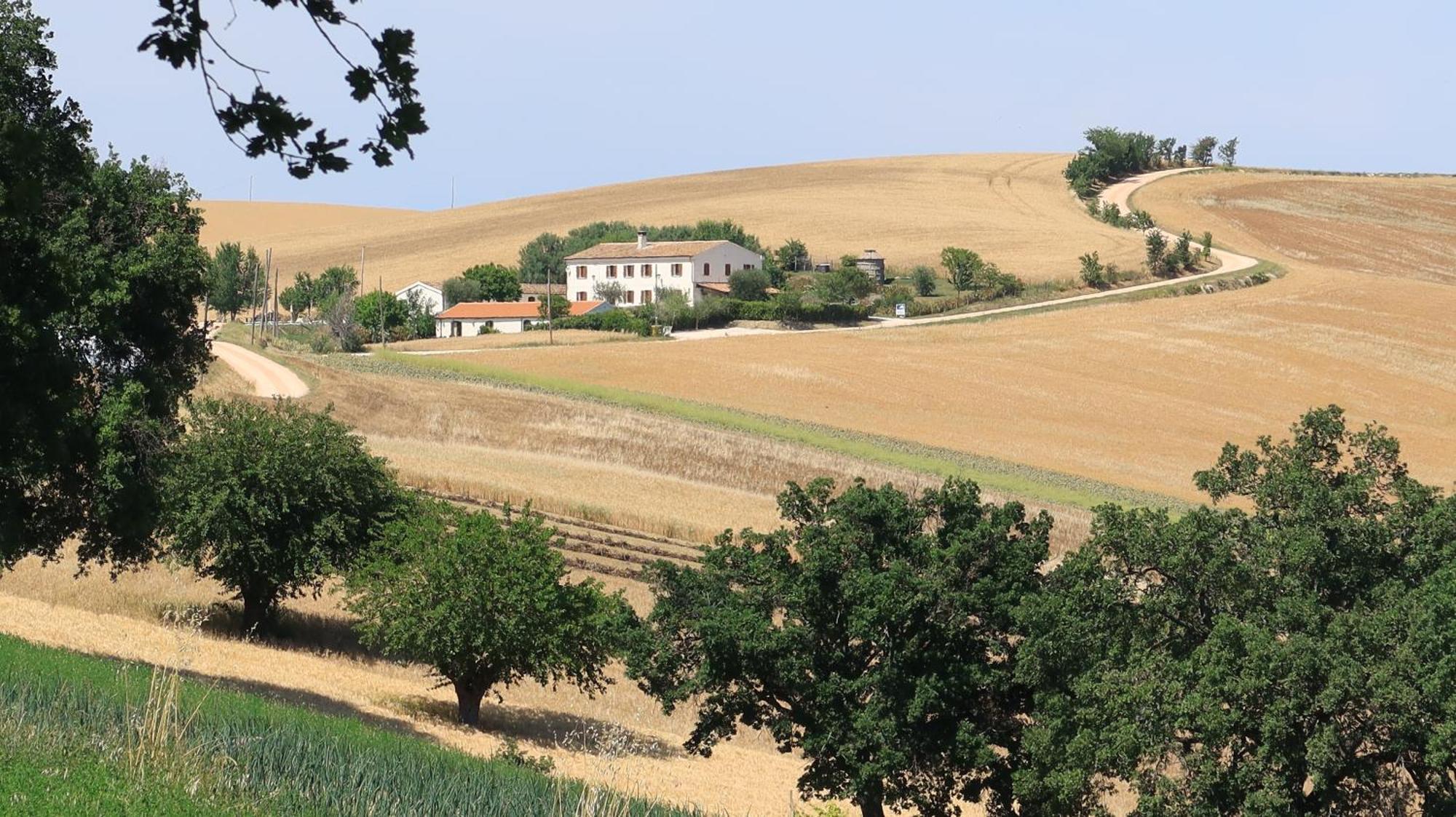 Rustico Del Bozzo Castelleone di Suasa Exterior foto
