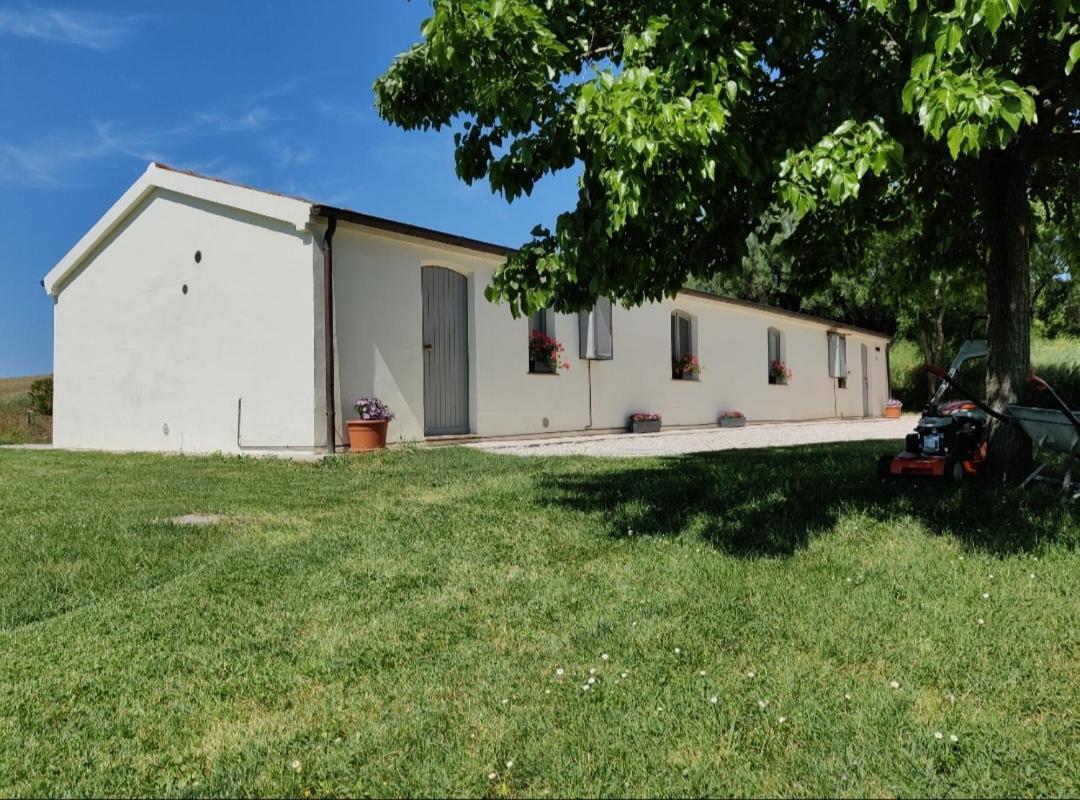 Rustico Del Bozzo Castelleone di Suasa Exterior foto